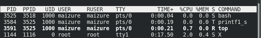 printf tty/pts usage